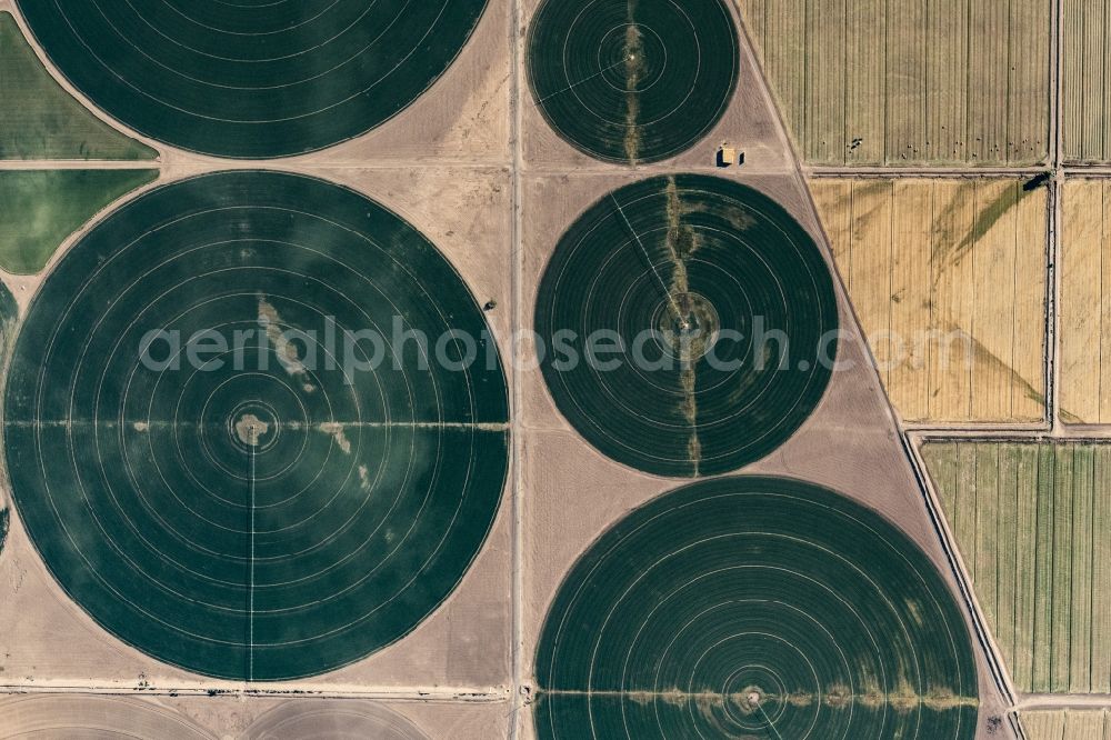 Vertical aerial photograph Mohave Valley - Vertical aerial view from the satellite perspective of the circular round arch of a pivot irrigation system on agricultural fields in Mohave Valley in Arizona, United States of America