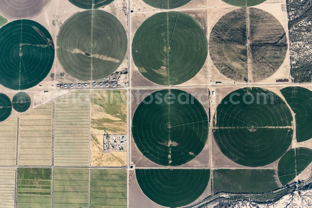 Vertical aerial photograph Mohave Valley - Vertical aerial view from the satellite perspective of the circular round arch of a pivot irrigation system on agricultural fields in Mohave Valley in Arizona, United States of America