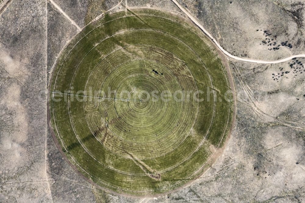 Vertical aerial photograph Williamson - Vertical aerial view from the satellite perspective of the circular round arch of a pivot irrigation system on agricultural fields in Williamson in Arizona, United States of America