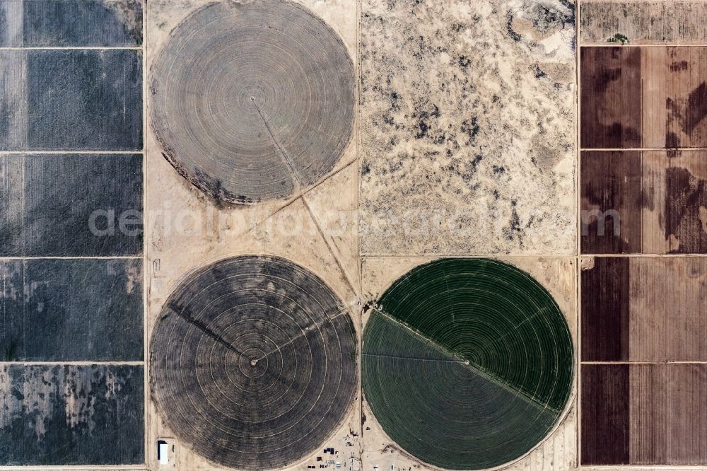 Vertical aerial photograph Dolan Springs - Vertical aerial view from the satellite perspective of the circular round arch of a pivot irrigation system on agricultural fields the desert in Dolan Springs in Arizona, United States of America