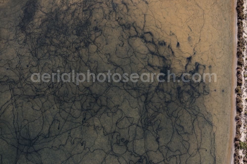 Vertical aerial photograph Campos - Vertical aerial view from the satellite perspective of the Brown - white salt pans for salt extraction in the district Ses Salines in Campos in Islas Baleares, Spain