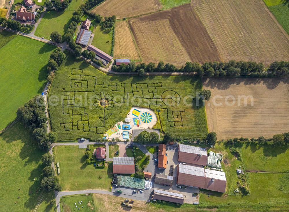 Vertical aerial photograph Haltern am See - Vertical aerial view from the satellite perspective of the playground Maislabyrinth Terhardt in Haltern am See in the state North Rhine-Westphalia, Germany