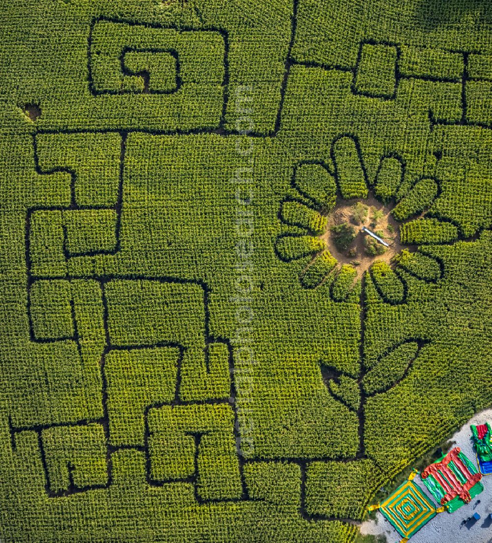 Vertical aerial photograph Haltern am See - Vertical aerial view from the satellite perspective of the playground Maislabyrinth Terhardt in Haltern am See in the state North Rhine-Westphalia, Germany