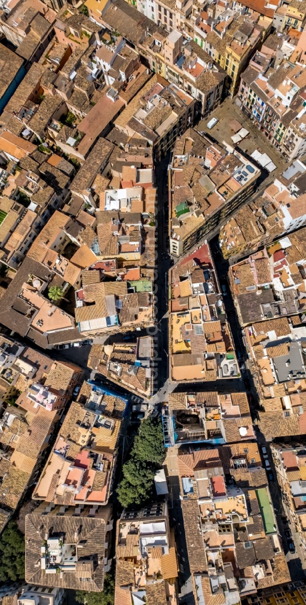 Vertical aerial photograph Palma - Vertical aerial view from the satellite perspective of the city view on down town rundum den Placa del Mercadal on Carrer de la Llotgeta in the district Centre in Palma in Balearic island of Mallorca, Spain