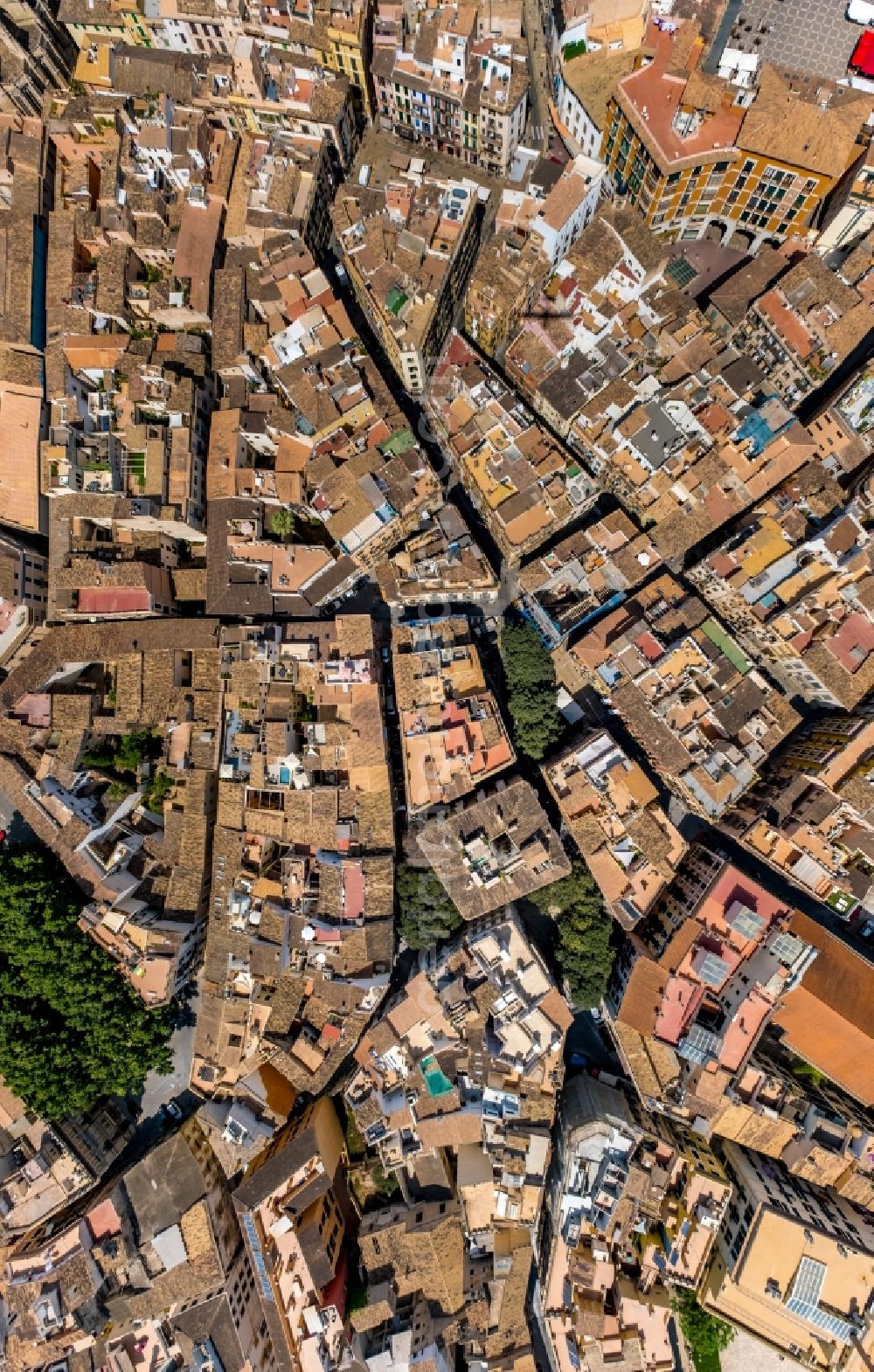 Vertical aerial photograph Palma - Vertical aerial view from the satellite perspective of the city view on down town rundum den Placa del Mercadal on Carrer de la Llotgeta in the district Centre in Palma in Balearic island of Mallorca, Spain