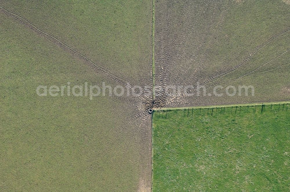 Vertical aerial photograph Langendorf - Vertical aerial view from the satellite perspective of the Structures on agricultural fields Langendorf in the state North Rhine-Westphalia, Germany