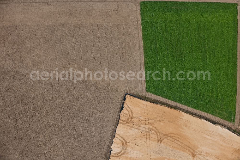 Vertical aerial photograph Bergheim - Vertical aerial view from the satellite perspective of the Structures on agricultural fields in Bergheim in the state North Rhine-Westphalia, Germany