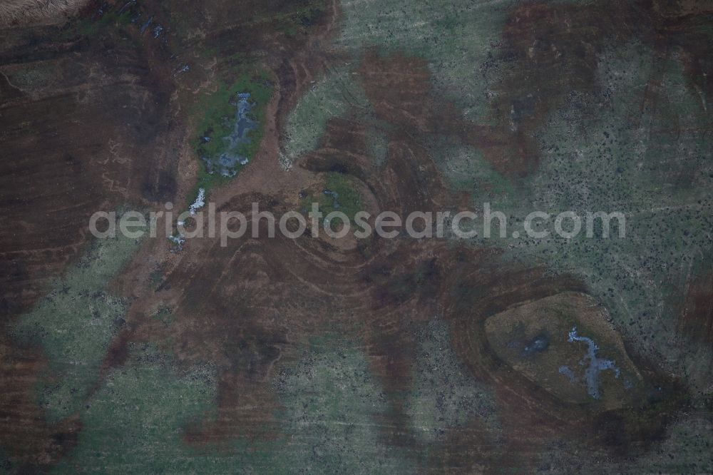 Vertical aerial photograph Blowatz - Vertical aerial view from the satellite perspective of the Structures on agricultural fields in Blowatz in Mecklenburg-Vorpommern