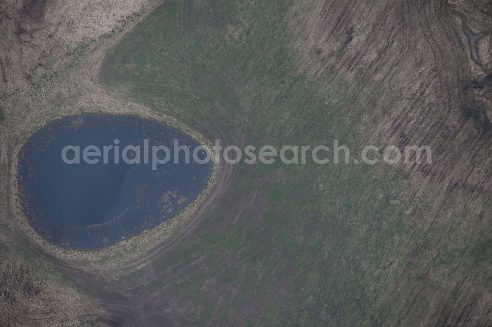 Vertical aerial photograph Blowatz - Vertical aerial view from the satellite perspective of the Structures on agricultural fields in Blowatz in Mecklenburg-Vorpommern