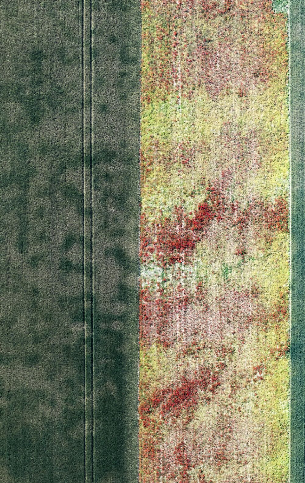 Vertical aerial photograph Erlenbach bei Kandel - Vertical aerial view from the satellite perspective of the structures on agricultural fields in Erlenbach bei Kandel in the state Rhineland-Palatinate, Germany