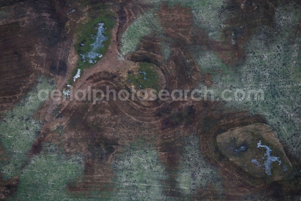 Vertical aerial photograph Blowatz - Vertical aerial view from the satellite perspective of the Structures on agricultural fields in the district Wodorf in Blowatz in the state Mecklenburg - Western Pomerania, Germany