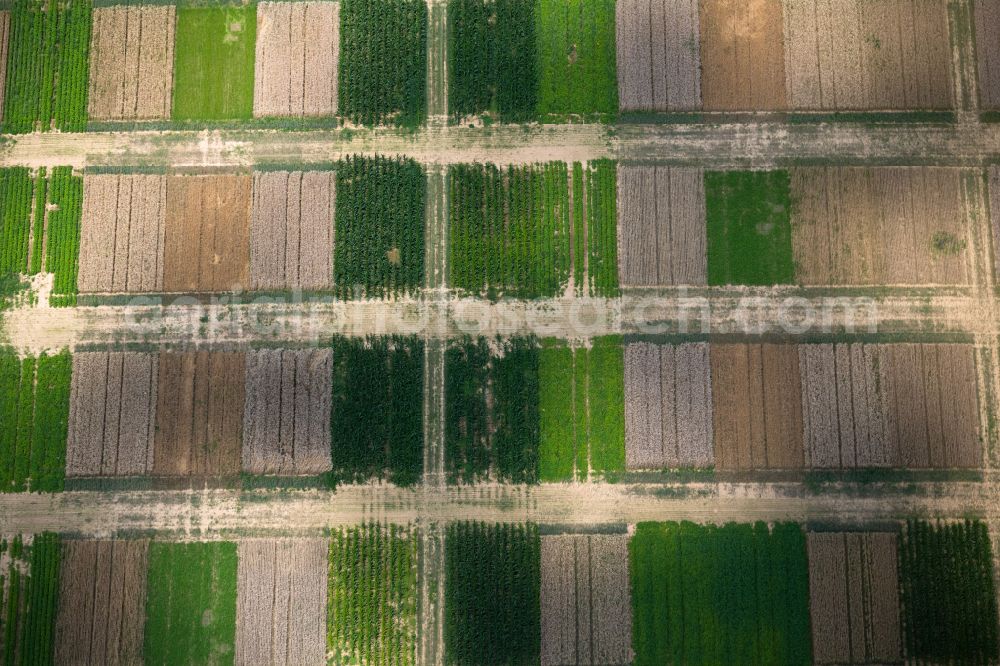 Vertical aerial photograph Plieningen - Vertical aerial view from the satellite perspective of the structures on agricultural fields in Plieningen in the state Baden-Wuerttemberg, Germany