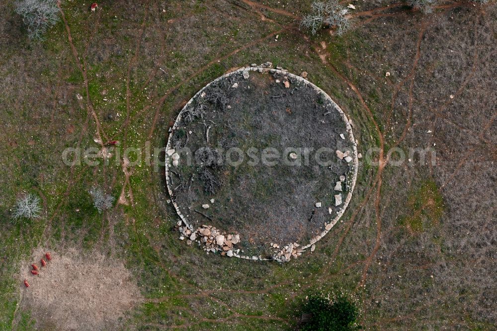 Vertical aerial photograph Santanyí - Vertical aerial view from the satellite perspective of the structures meadow pasture with cattle - herd in SantanyA? in Balearic Islands, Spain