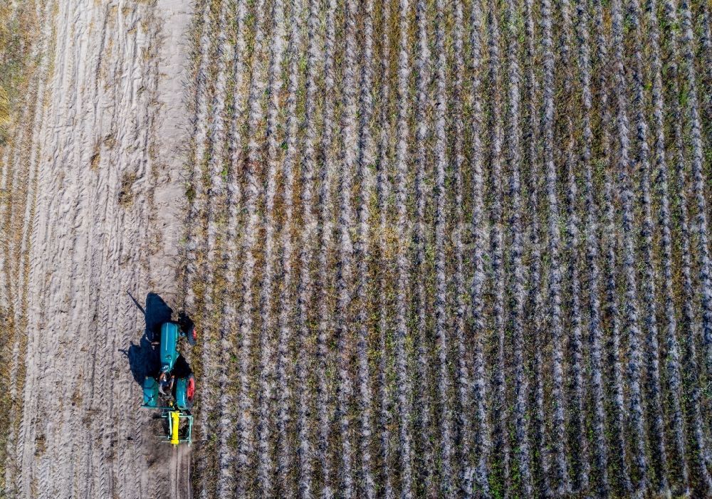 Vertical aerial photograph Klein Trebbow - Vertical aerial view from the satellite perspective of the plowing and shifting the earth by a tractor with plow on agricultural fields in Klein Trebbow in the state Mecklenburg - Western Pomerania, Germany