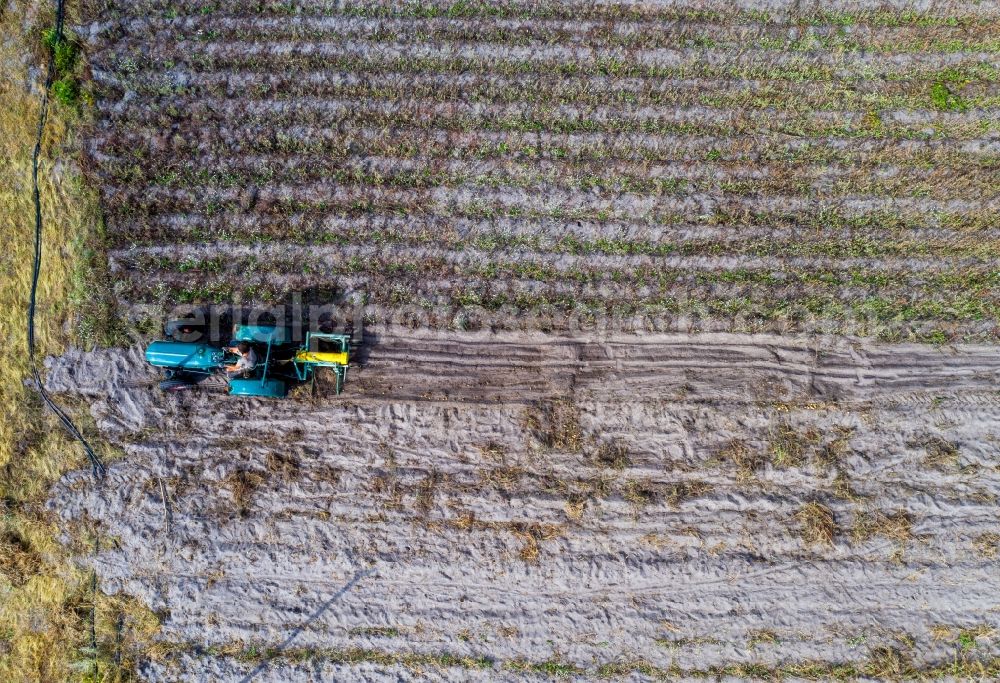 Vertical aerial photograph Klein Trebbow - Vertical aerial view from the satellite perspective of the plowing and shifting the earth by a tractor with plow on agricultural fields in Klein Trebbow in the state Mecklenburg - Western Pomerania, Germany