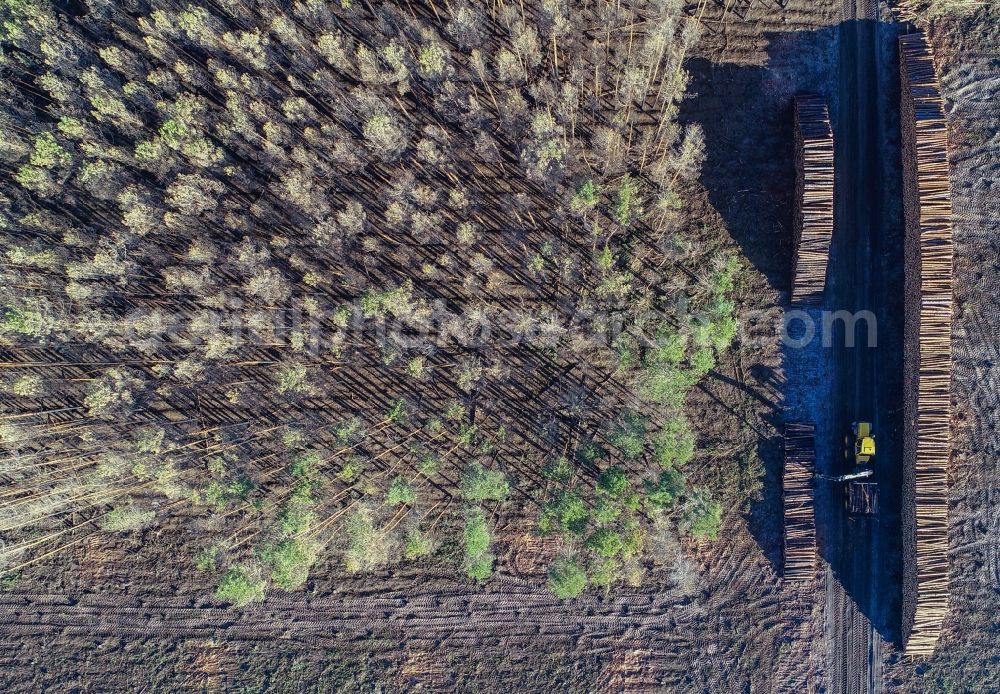 Vertical aerial photograph Klausdorf - Vertical aerial view from the satellite perspective of the damage by the Great Fire - destroyed forest fire tree population in a wooded area - forest terrain in Treuenbrietzen in the state Brandenburg, Germany