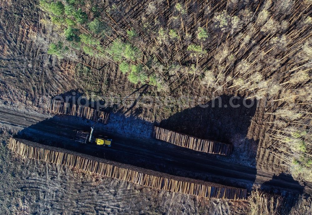 Vertical aerial photograph Klausdorf - Vertical aerial view from the satellite perspective of the damage by the Great Fire - destroyed forest fire tree population in a wooded area - forest terrain in Treuenbrietzen in the state Brandenburg, Germany