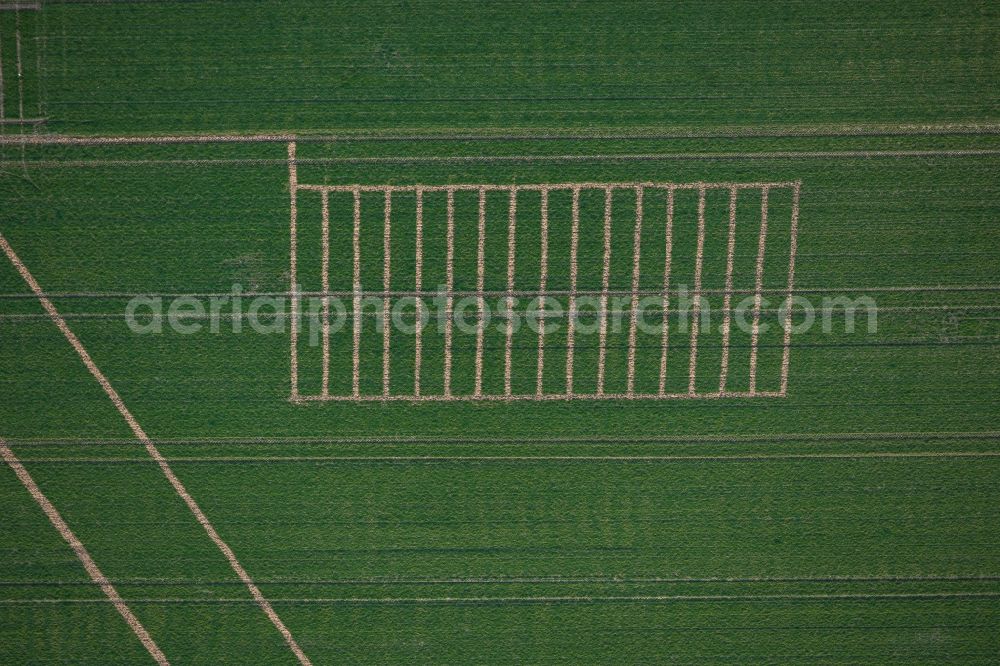 Vertical aerial photograph Elsdorf - Vertical aerial view from the satellite perspective of the Agricultural experimental field in Elsdorf in the state North Rhine-Westphalia, Germany. Comparative planting of historical potato varieties