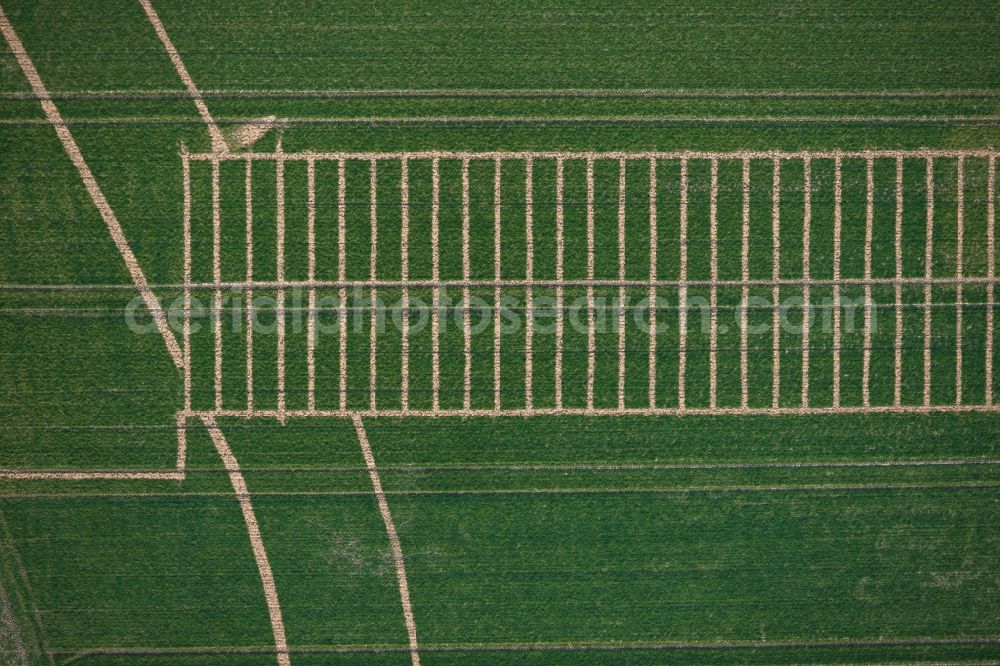 Vertical aerial photograph Elsdorf - Vertical aerial view from the satellite perspective of the Agricultural experimental field in Elsdorf in the state North Rhine-Westphalia, Germany. Comparative planting of historical potato varieties