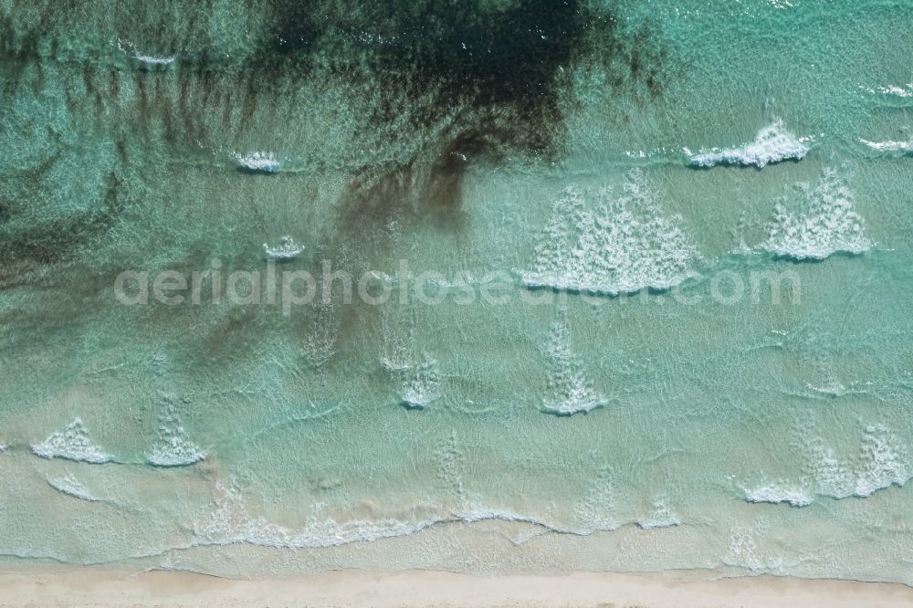 Vertical aerial photograph Llucmajor - Vertical aerial view from the satellite perspective of the Water surface at the seaside of mediteran sea in Llucmajor, beach es Trenc in Balearic Islands, Spain