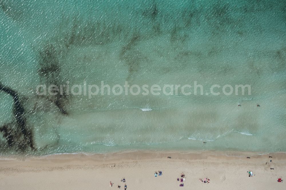 Vertical aerial photograph Llucmajo - Vertical aerial view from the satellite perspective of the Water surface at the seaside of mediteran sea in Llucmajor, beach es Trenc, man in the water, in Balearic Islands, Spain