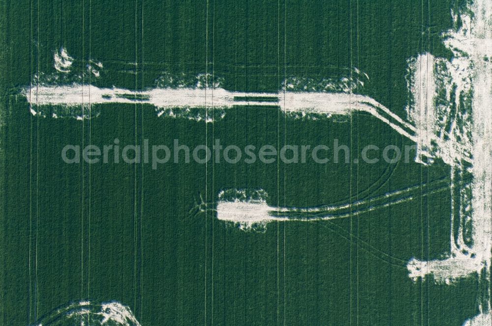 Vertical aerial photograph Heppendorf - Vertical aerial view from the satellite perspective of the Wheat field in the district Heppendorf in Elsdorf in the state North Rhine-Westphalia, Germany - compaction with agricultural vehicles leads to different growth