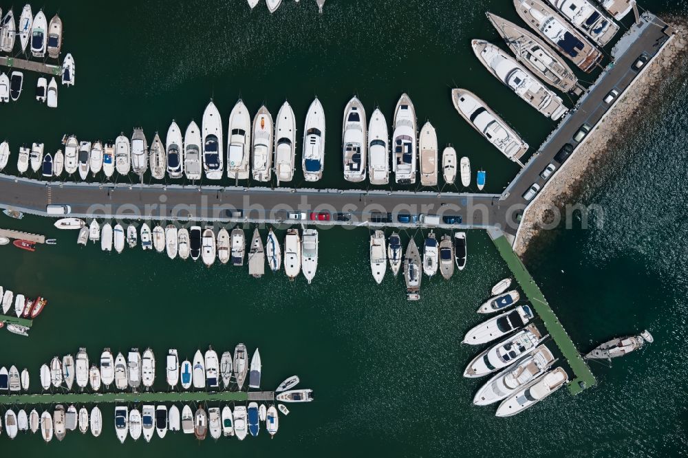 Vertical aerial photograph Andratx - Vertical aerial view from the satellite perspective of the marina in the district Port Andratx in Andratx in Balearic Islands, Mallorca, Spain