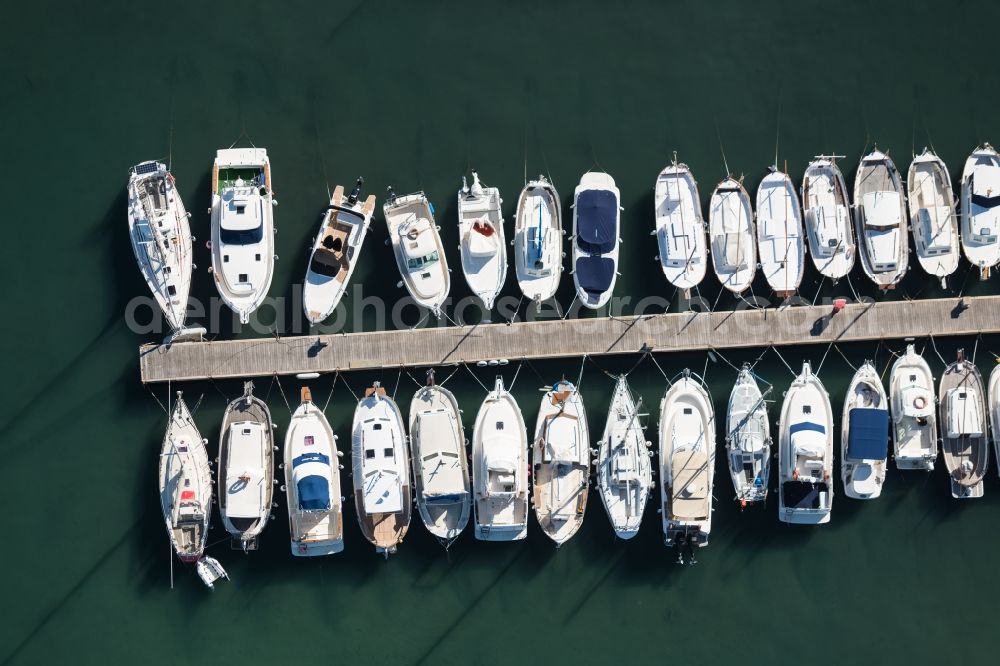 Vertical aerial photograph Andratx - Vertical aerial view from the satellite perspective of the marina in the district Port Andratx in Andratx in Balearic Islands, Mallorca, Spain