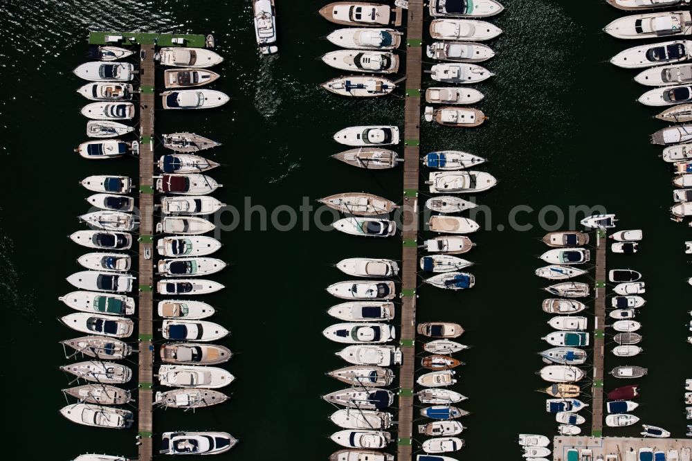 Vertical aerial photograph Andratx - Vertical aerial view from the satellite perspective of the marina in the district Port Andratx in Andratx in Balearic Islands, Mallorca, Spain